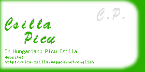 csilla picu business card